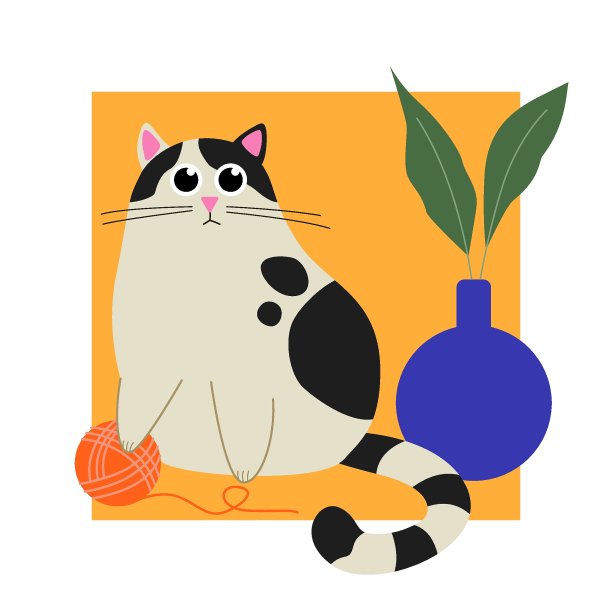 可爱的猫咪图片下载