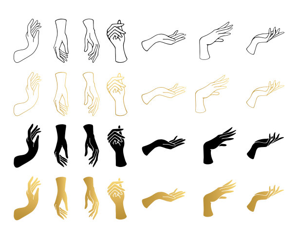 女人的手轮廓。一套优雅的女性手在最小的平面风格。收集不同的手势。图片下载