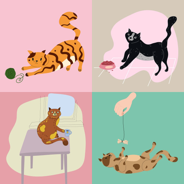 设红黑斑猫玩球图片下载