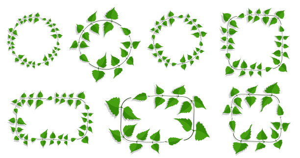 用细桦木树枝和图片下载