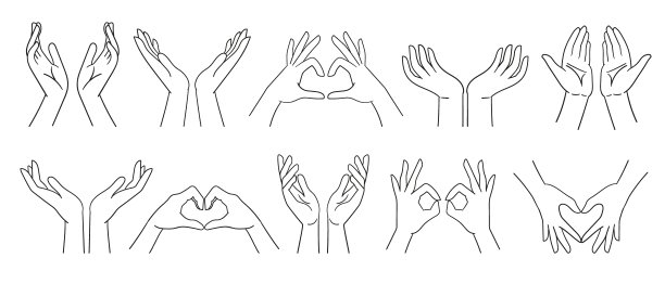 双手表示心，杯，关心，保护，支持，双手合十。矢量插图孤立在白色。多样的手势线条艺术图片下载