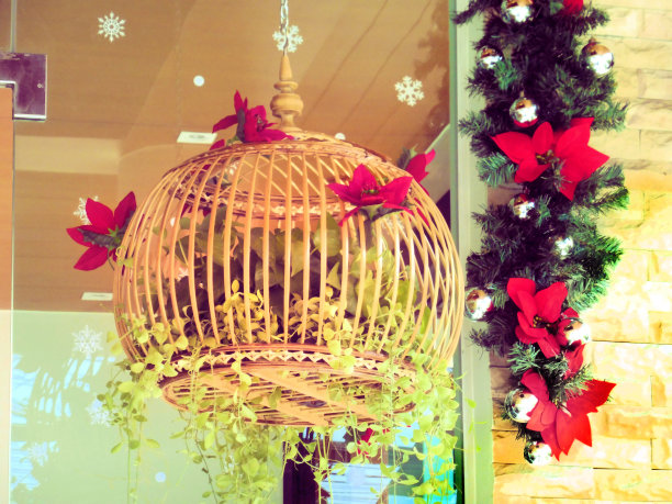 圣诞节花卉家居装饰。圣诞星工厂。红色的一品红花环图片下载