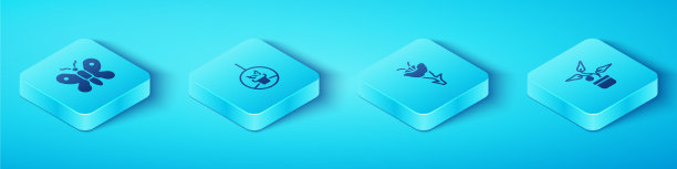 在悬挂花盆中设置等距蝶形植物图片下载