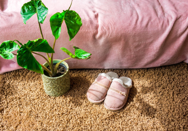 舒适舒适的家居概念图片下载