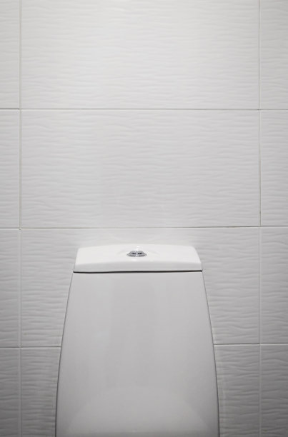 抽水马桶的按钮图片下载