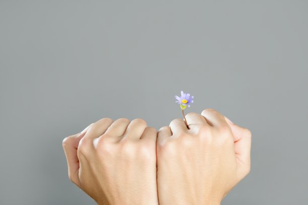 植物从女人的手生长的概念图片下载