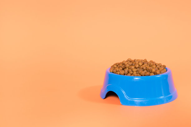 蓝色盘子上的动物饲料，橙色背景与文字的地方为宠物商店。图片下载