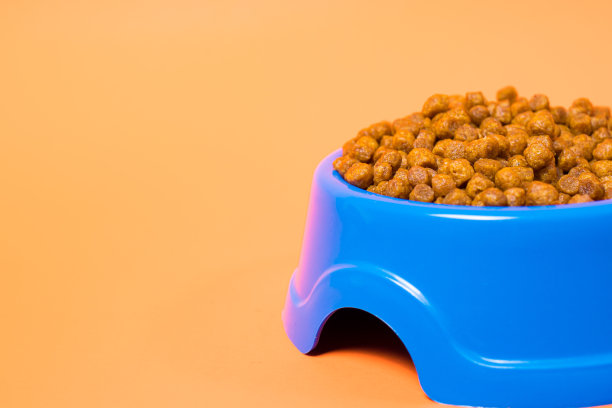 蓝色盘子上的动物饲料，橙色背景与文字的地方为宠物商店。图片下载