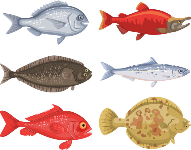 将不同的卡通鱼设置在白色背景上图片下载
