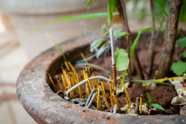香与灰烬和其他剩余的棍子在土盆附近的图阿斯植物也被称为圣罗勒。放在泥土里祭拜的香。使用选择性的焦点。图片下载