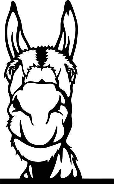 偷窥驴——古怪的农场动物偷窥图片下载