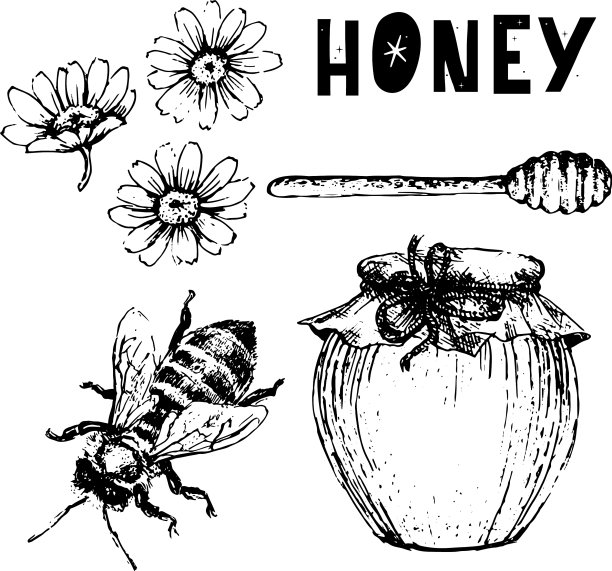 蜂蜜集复古手绘雕刻有机图片下载