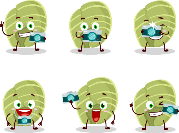 摄影师专业以白甘蓝卡通图片下载