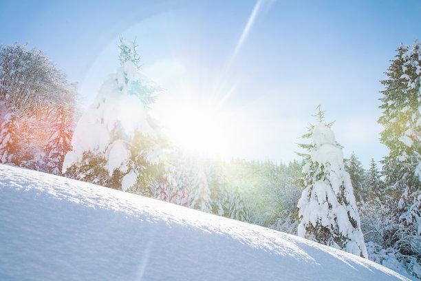 冬季景观与太阳和镜头光晕图片下载