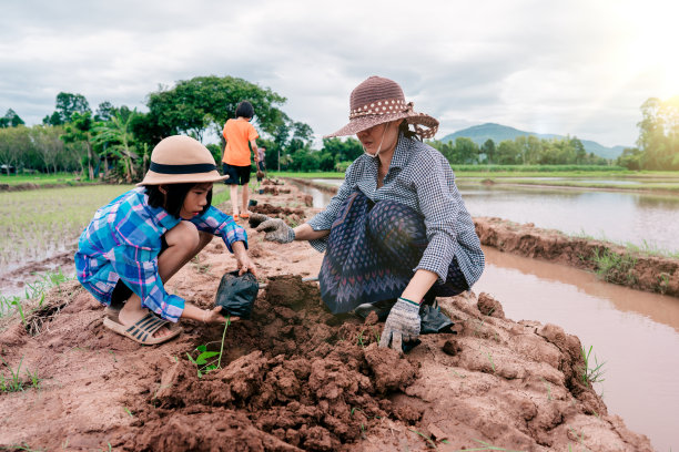 孩子和母亲在天空的背景下帮助农村或乡村的有机农场种植树木图片下载
