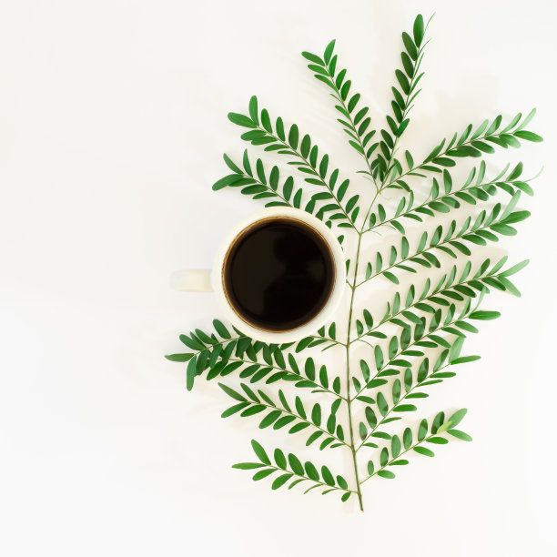 一杯咖啡配上早午餐的树叶。白色背景森林概念图片下载