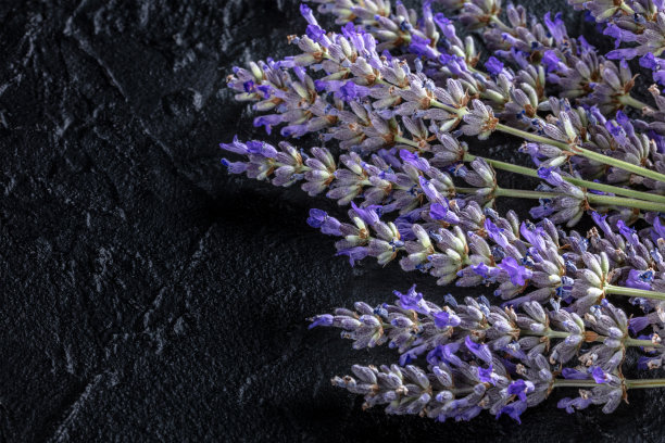 薰衣草花束，头顶平躺投篮，有文字的地方图片下载