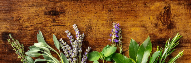 芳香药草全景横幅复制空间，从顶部拍摄图片下载
