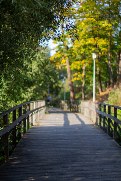 秋天的风景图片下载