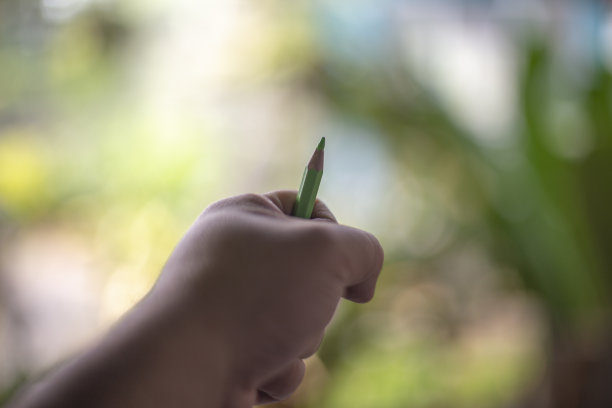手握绿色木色和模糊的背景。图片下载