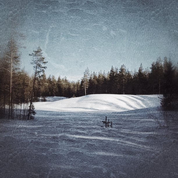 拉普兰的雪堆和阳光的肮脏图像图片下载