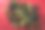 隐喻死去的塑料玩具战争士兵图片下载