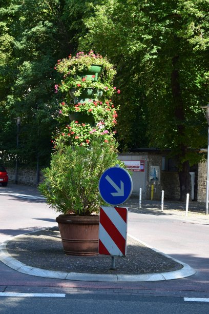 街道中间的一个花盆图片下载