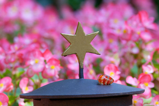 一盏庄严的灯上有一颗金色的星星图片下载