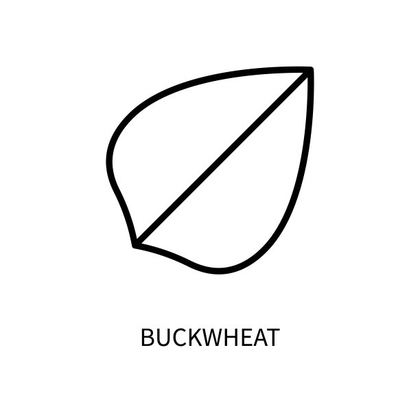 荞麦线图标在一个简单的风格。文化。谷类食品。农场。工厂。矢量符号在一个简单的风格孤立在一个白色的背景。64 x64像素。图片下载