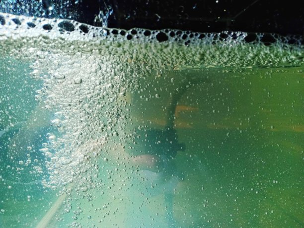 鱼缸里的水冒着气泡图片下载