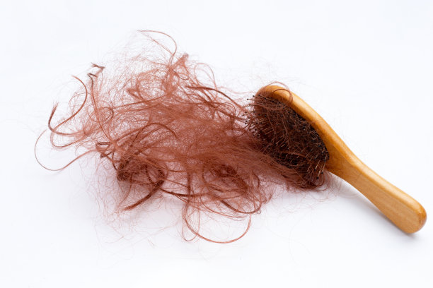 梳子上的头发会脱落图片下载