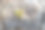 纹理优美的天然灰色和黄色花岗岩石材表面有裂缝和一棵绿色的小桦树在照片图片下载