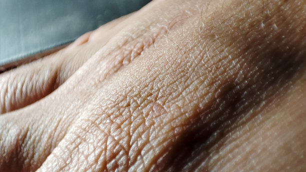 手掌的宏观皮肤。医学和皮肤学的概念。健康的棕色白种人皮肤。近距离观察皮肤细节图片下载