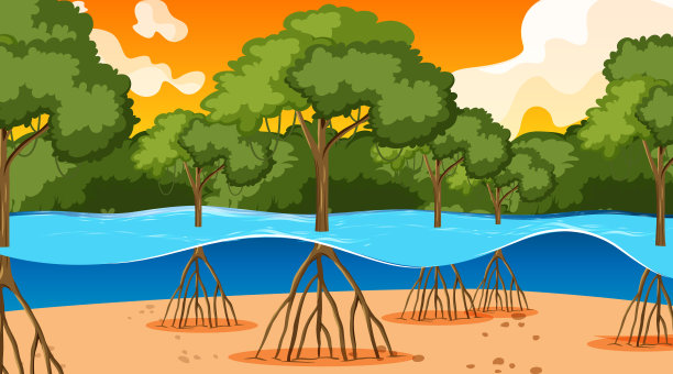 卡通风格的日落红树林自然景观图片下载