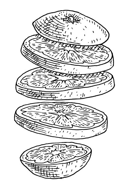 飞舞的鲜橙。复古雕刻黑色单色图片下载