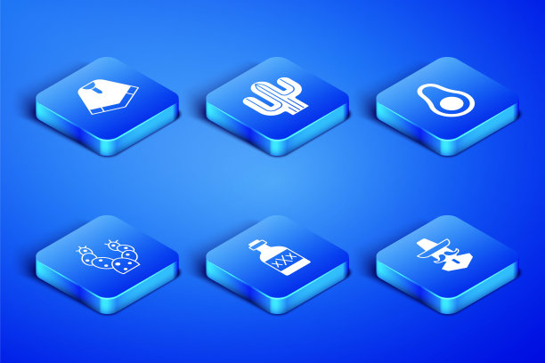 设置墨西哥人帽，雨披，龙舌兰瓶，仙人掌，和鳄梨水果图标。向量图片下载