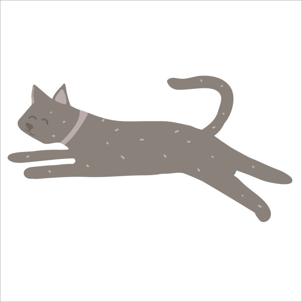 可爱、快乐、放松的猫咪呼噜声图片下载