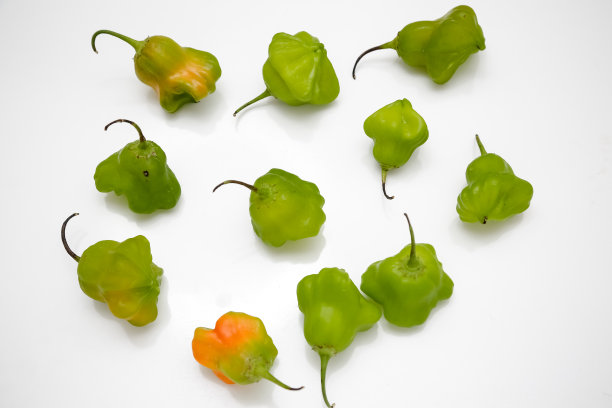 绿色的红辣椒，成熟的枝条放在桌上。图片下载