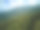 山景，在波兰Beskid Żywiecki的Skrzyczne峰，针叶林与松树图片下载