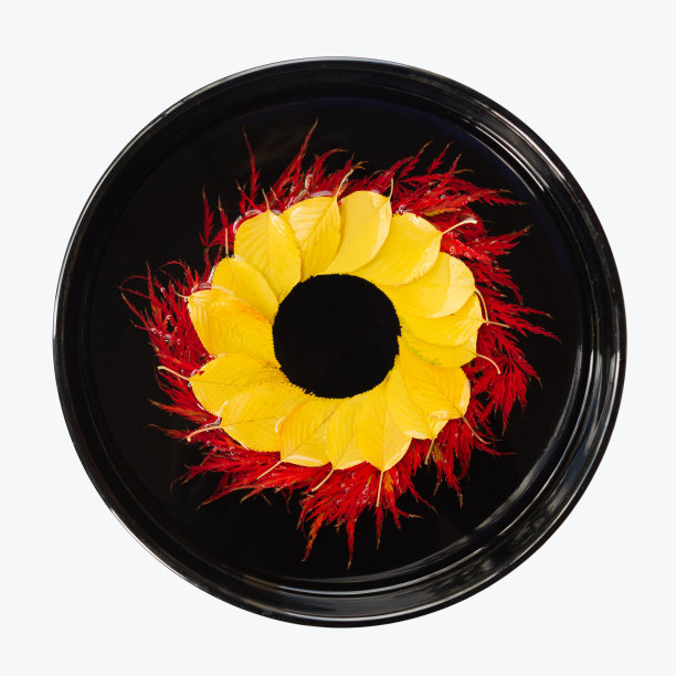 漂浮的花卉艺术红色和黄色的秋天叶子在一个圆形的黑色花瓶孤立在白色的背景图片下载