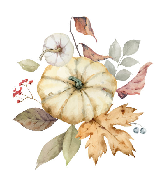 感恩节水彩矢量花束，含彩色南瓜、秋季树枝和树叶，白色背景图片下载