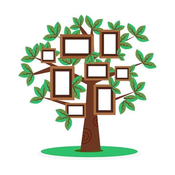 树状图照片墙图片下载