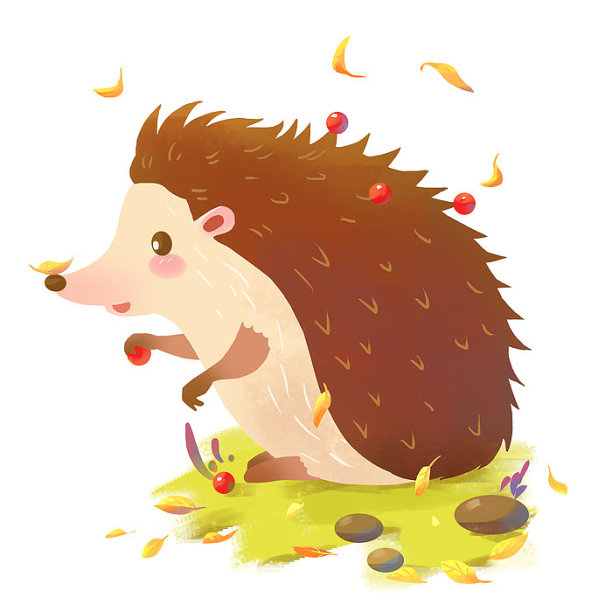 秋天动物可爱刺猬素材图片