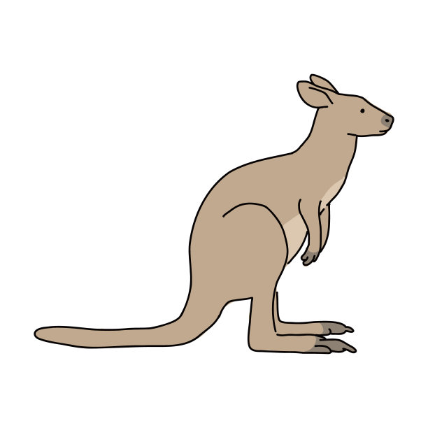 简单的全身体小袋鼠(袋鼠)矢量插图图片下载