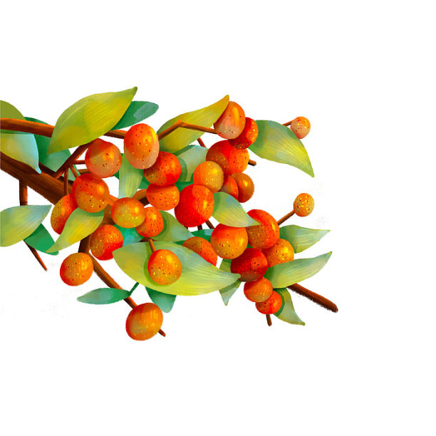 秋天丰收水果元素图片下载