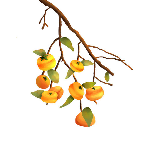 秋天丰收柿子元素图片下载