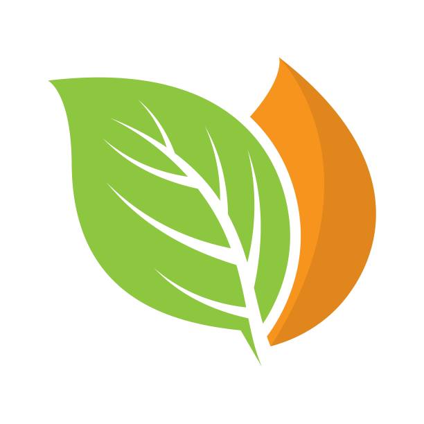 叶子矢量logo模板图片下载