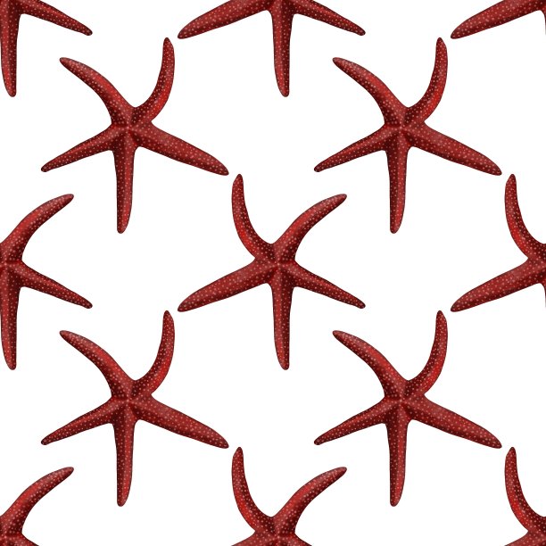水彩插图海星无缝图案的背景图片下载