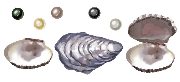 水彩套贝壳和珍珠孤立在白色的背景图片下载