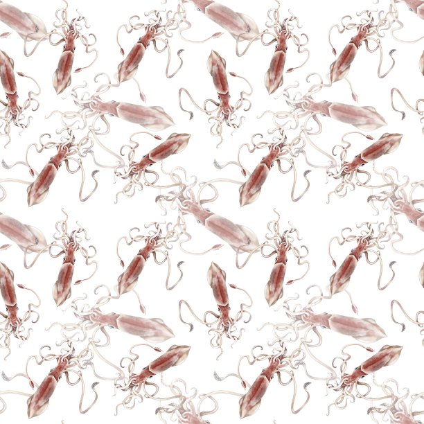 水彩鱿鱼无缝图案，手绘插图背景图片下载